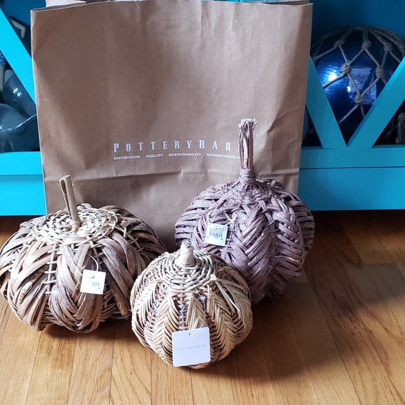 Pottery Barn Fall Thanksgiving Harvest Halloween Woven Rattan Pumpkins - Picture 5 of 5